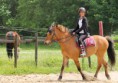 /album/photos/elisa-equitation3-2013-06-16-copie-jpg/
